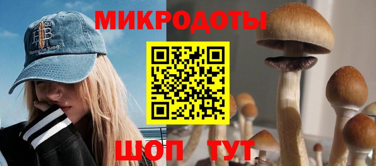Егорьевск  Псилоцибиновые грибы Magic Shrooms  Галлюциногенные грибы MAGIC MUSHROOMS  Вход с VPN 